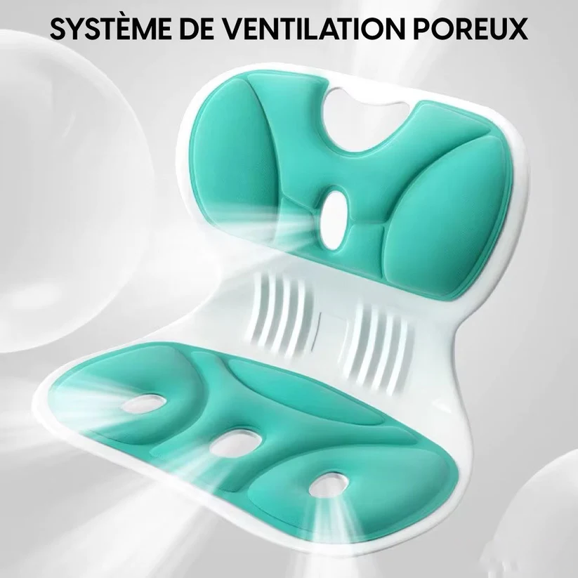 Coussin Lombaire Ergonomique – Soutien Optimal pour un Confort Quotidien