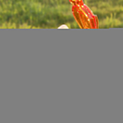 3 Bouteilles dégradées avec messages inspirants – motivation